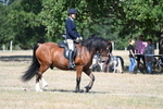 WJ7_0759