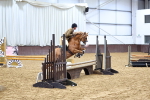 SBM_003341