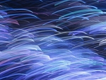 Neon Grasses, Blue