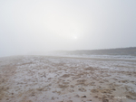 Sea Haze (4759)