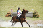 BVHT 140517  IXC -238