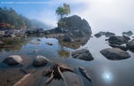 Lifting Fog Bonsai Cove
