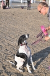 SBM_09456