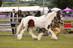 SBM_06038