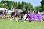 SBM_10143