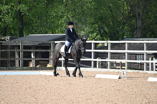 WJ6_6694