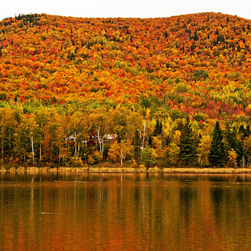 Moose Mountain in Carleton County New Brunswick and apart of the Appalachian chain - showing peak autumn colors.