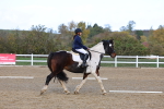 SBM_002230