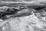 Winter Coat in BW