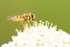 20120812-_MG_9542