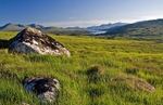 Rannoch Moor