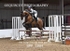 BPP_3884