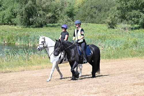 WJ7_8514