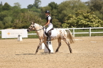 SBM_008559