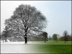 Two Seasons