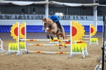 SBM_001553
