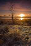 Bassenthwaite