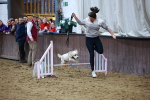 SBM_005872