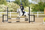 SBM_007904