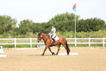 SBM_000299