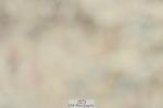 230630A-122005-01842