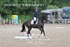 BPP_0010 1