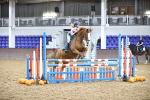 SBM_003387