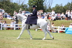 3E7A9662