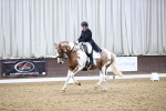 SBM_006976