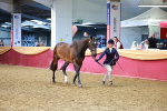 SBM_17270