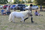 WJ6_4931