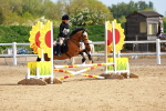 SBM_007872