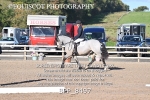 BPP_8497