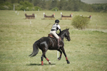 BVHT 140517  IXC -2