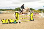 SBM_001910
