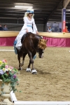 SBM_10322