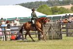 SBM_14851