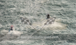 Worlds Powerboats_2014_Race-1-112