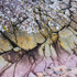ROCK FACE #2 - MELLON UDRIGLE