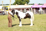 SBM_08637