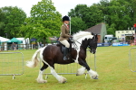 SBM_01173