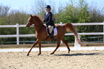 3E7A3706