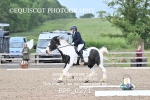 BPP_0271