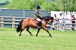 SBM_08010