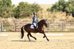 SBM_001378