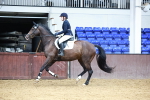 SBM_000554