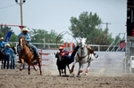 July 23 Rodeo Performance portfolio