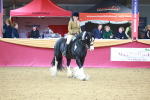 SBM_06274