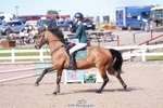 Cls 3 Pony Intor 90cm portfolio