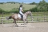 BPP_3532